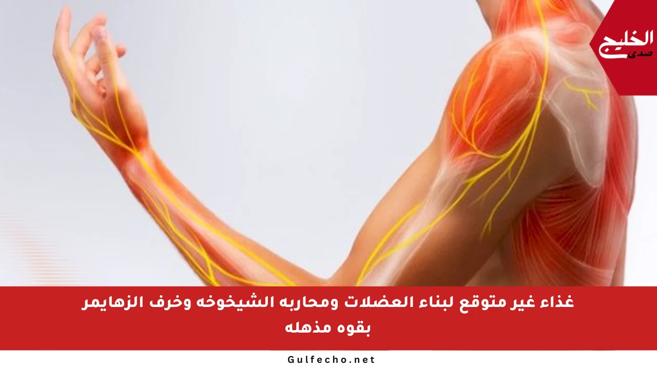 غذاء غير متوقع لبناء العضلات ومحاربة الشيخوخة وخرف الزهايمر بقوة مذهلة